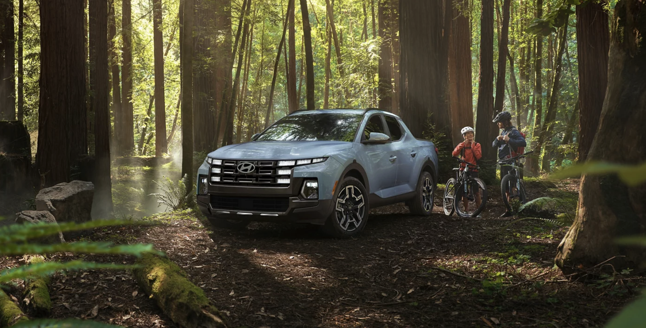 Hyundai Santa Cruz in forest