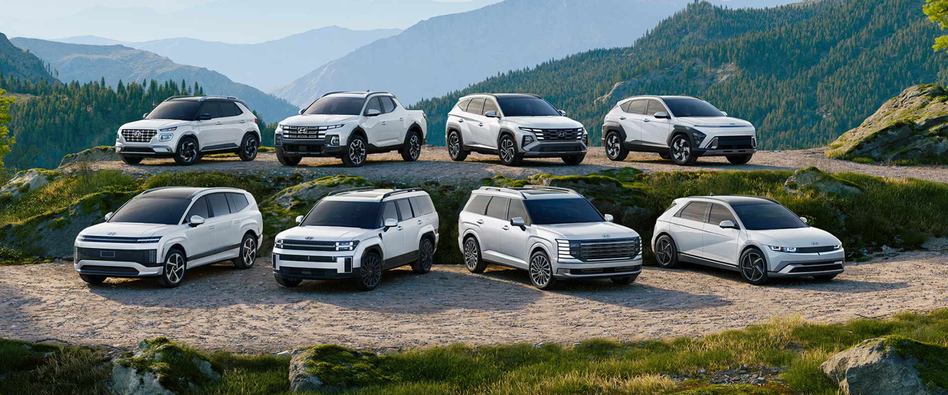Hyundai Vehicles Line Up White Variants