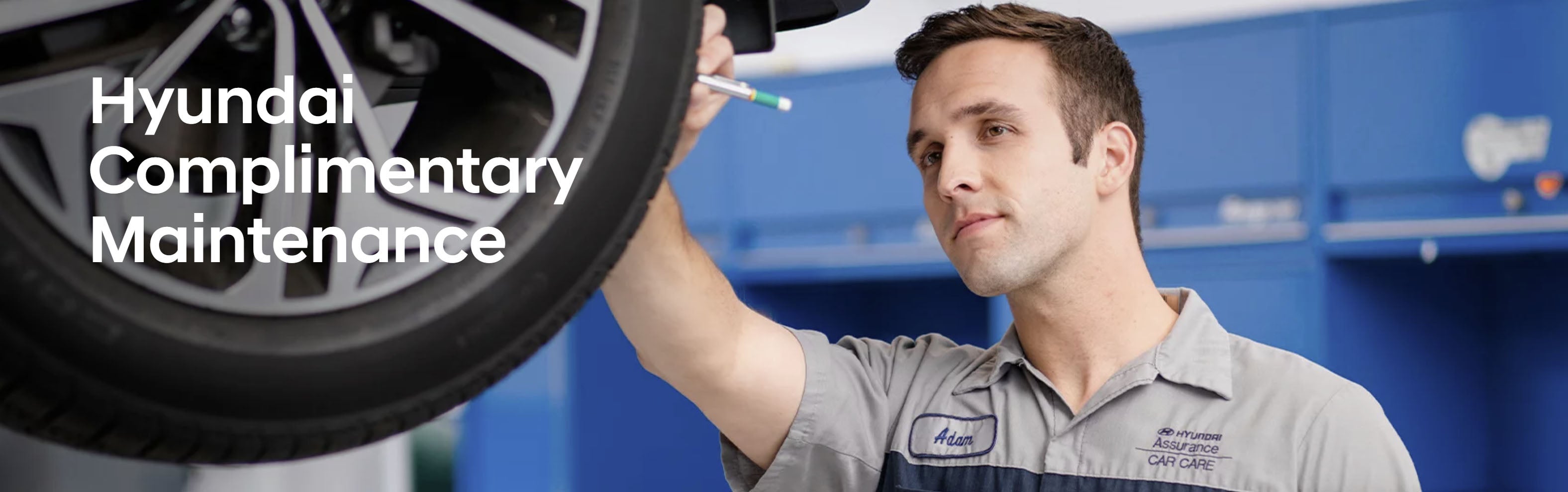 3 year complimentary maintenance